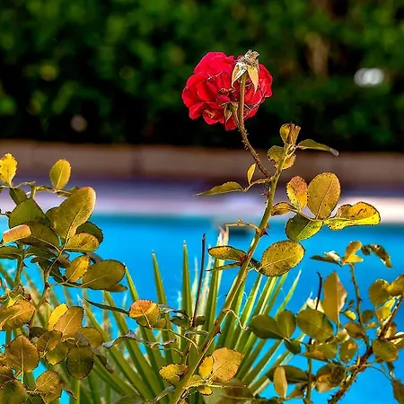 Adeje Park Villa Costa Adeje (Tenerife)